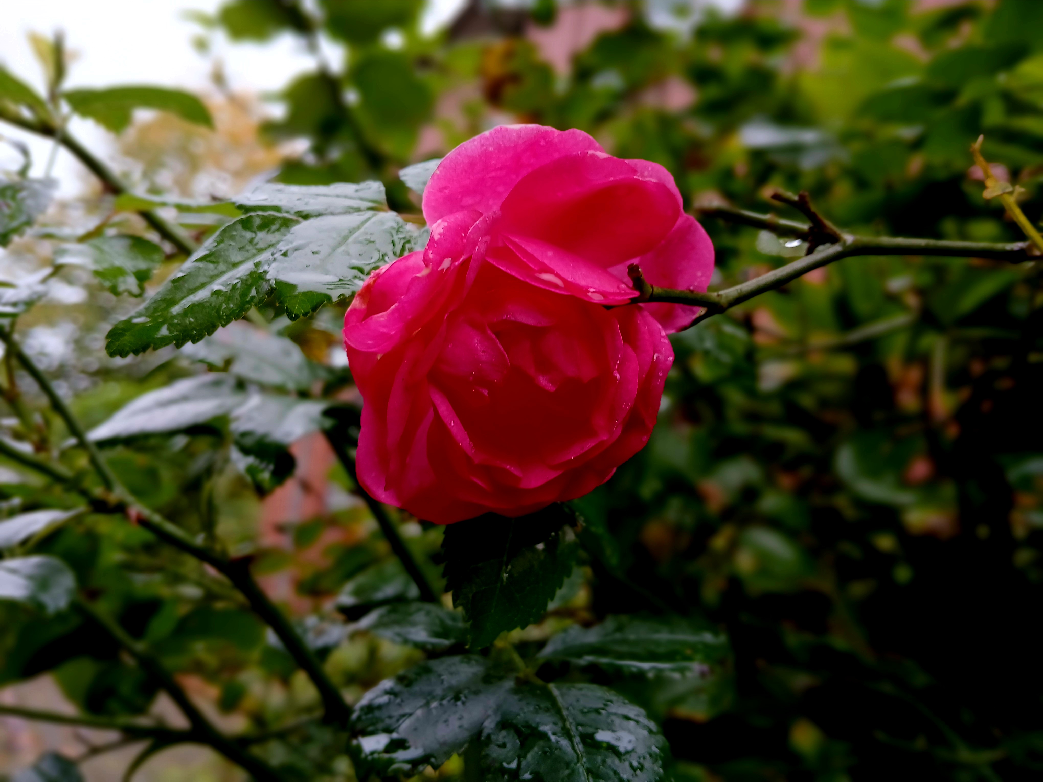 Der Aufstand der Seele: Eine Reise zu innerer Stärke