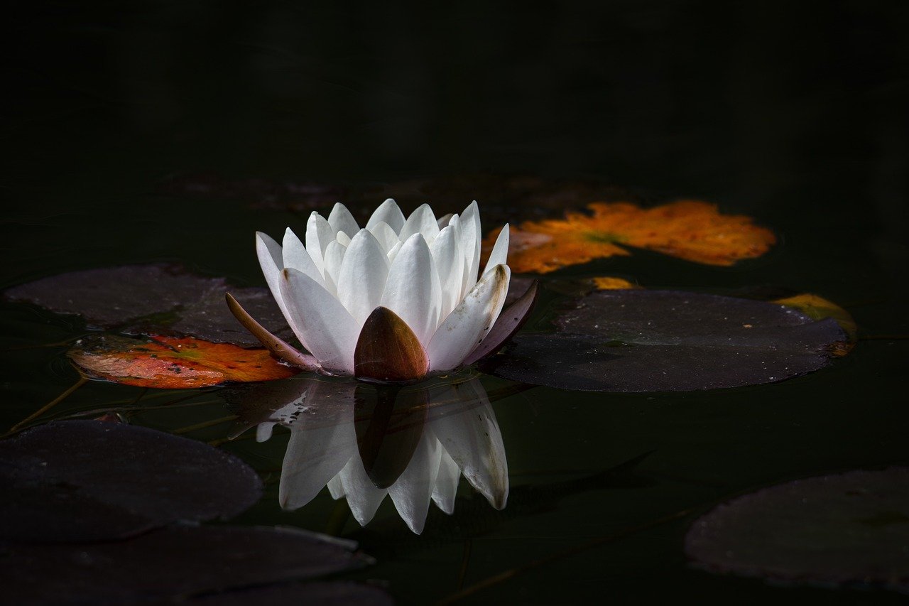 Entdecke die spirituelle Seite in dir: Eine Reise zu innerer Ruhe und Erkenntnis